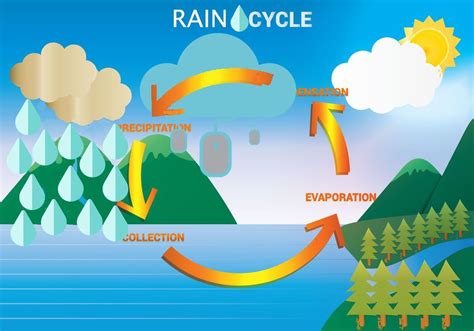 爲何會下陣雨？多元視角下的雨水探索